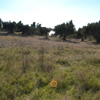 Land plot in Greece, Central Macedonia, Center