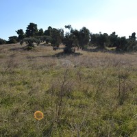 Land plot in Greece, Central Macedonia, Center