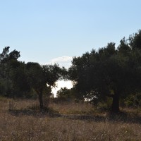 Land plot in Greece, Central Macedonia, Center