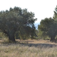 Land plot in Greece, Central Macedonia, Center