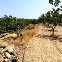 Land plot in Greece, Attica, Athens, 130 sq.m.