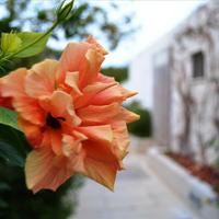 Villa in Greece, Crete, 133 sq.m.