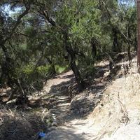 Land plot in Greece, Ionian Islands, 8890 sq.m.