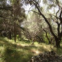 Land plot in Greece, Ionian Islands, 8890 sq.m.