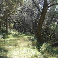 Land plot in Greece, Ionian Islands, 8890 sq.m.