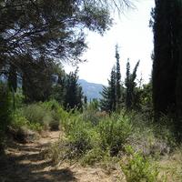 Land plot in Greece, Ionian Islands, 8890 sq.m.