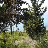 Land plot in Greece, Ionian Islands, 8890 sq.m.