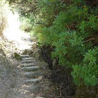 Land plot in Greece, Ionian Islands, 8890 sq.m.