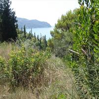 Land plot in Greece, Ionian Islands, 8890 sq.m.