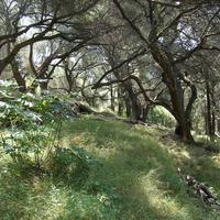 Land plot in Greece, Ionian Islands, 8890 sq.m.