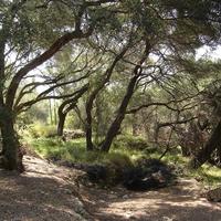 Land plot in Greece, Ionian Islands, 8890 sq.m.