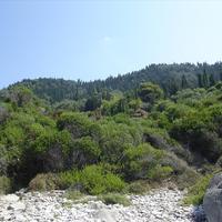 Land plot in Greece, Ionian Islands, 8890 sq.m.