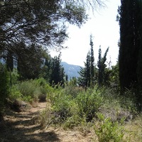 Land plot in Greece, Ionian Islands, 8890 sq.m.