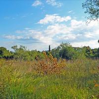 Land plot in Greece, Ionian Islands, 13000 sq.m.