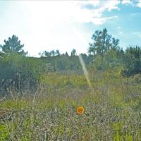 Land plot in Greece, Ionian Islands, 13000 sq.m.