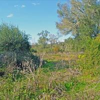 Land plot in Greece, Ionian Islands, 13000 sq.m.