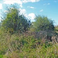 Land plot in Greece, Ionian Islands, 13000 sq.m.