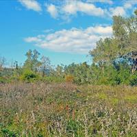 Land plot in Greece, Ionian Islands, 13000 sq.m.