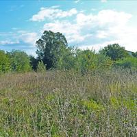 Land plot in Greece, Ionian Islands, 13000 sq.m.