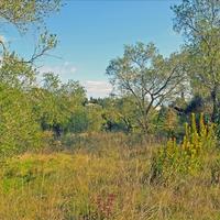 Land plot in Greece, Ionian Islands, 13000 sq.m.