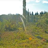 Land plot in Greece, Ionian Islands, 13000 sq.m.