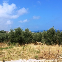Land plot in Greece, Crete