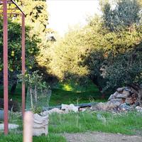 Land plot in Greece, Crete