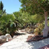 Вилла в Испании, Канарские Острова, Санта-Крус-де-Тенерифе, 100350 кв.м.