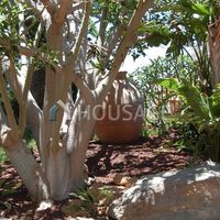 Вилла в Испании, Канарские Острова, Санта-Крус-де-Тенерифе, 100350 кв.м.