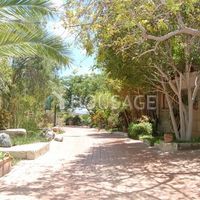 Вилла в Испании, Канарские Острова, Санта-Крус-де-Тенерифе, 100350 кв.м.