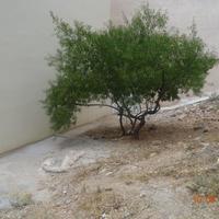 Land plot in Greece, Attica, Athens