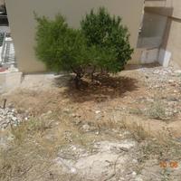 Land plot in Greece, Attica, Athens