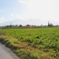 Land plot in Greece, Central Macedonia, Center