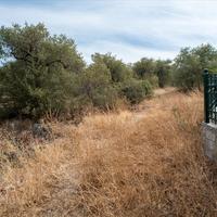 Land plot in Greece, Kavala