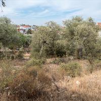Land plot in Greece, Kavala