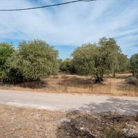 Land plot in Greece, Kavala