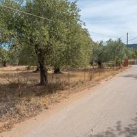 Land plot in Greece, Kavala