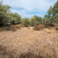 Land plot in Greece, Kavala