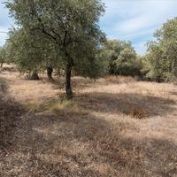 Land plot in Greece, Kavala