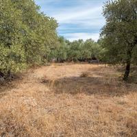 Land plot in Greece, Kavala