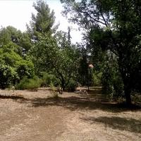 Земельный участок в Греции, Ионические острова