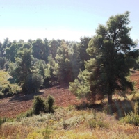 Land plot in Greece, Central Macedonia, Center
