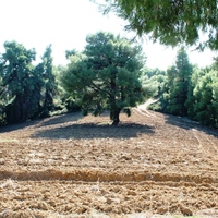 Land plot in Greece, Central Macedonia, Center