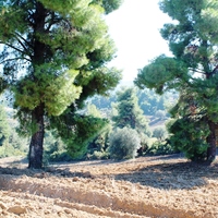 Land plot in Greece, Central Macedonia, Center
