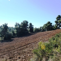 Land plot in Greece, Central Macedonia, Center