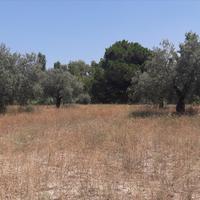 Land plot in Greece, Central Macedonia, Center