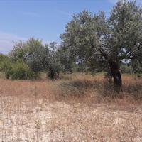 Land plot in Greece, Central Macedonia, Center