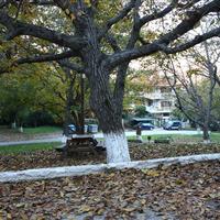 Land plot in Greece, Central Macedonia, Center