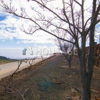 Вилла в Испании, Канарские Острова, Санта-Крус-де-Тенерифе, 8260 кв.м.