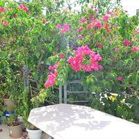 Другое в Греции, Аттика, Афины, 328 кв.м.